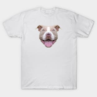 Pitbull T-Shirt